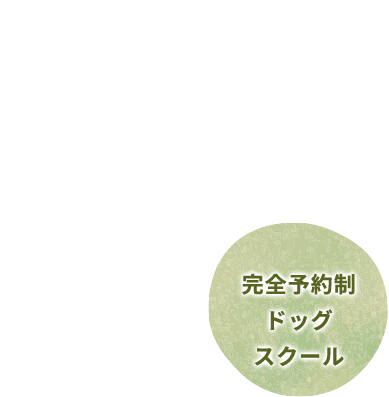 完全予約制ドッグスクール